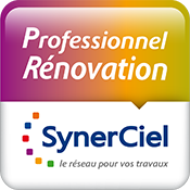 Logo Professionnel Rénovation Synerciel